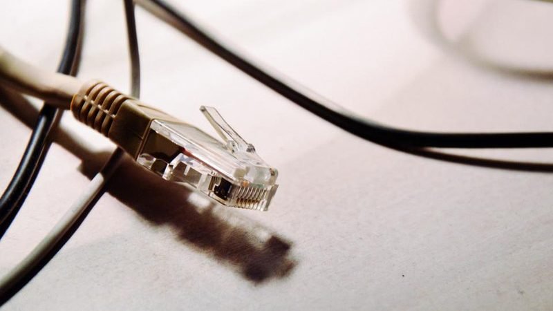 Ethernet patch cables ready for an office network